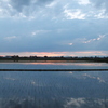 2016/06/26_水田の夕暮れ