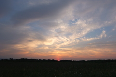 2014/07/12_夕暮れ