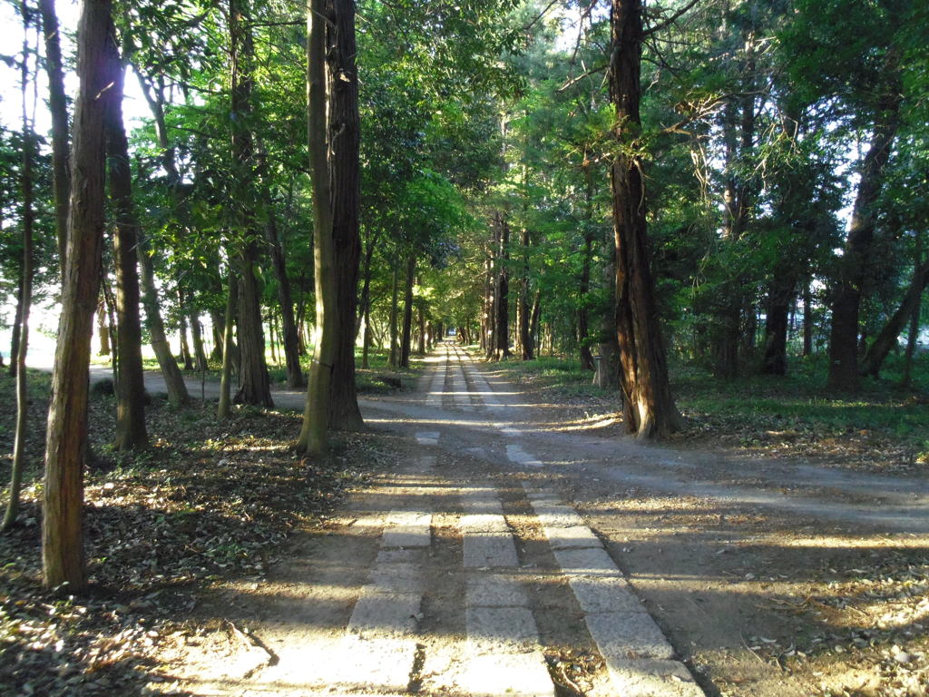 2017/05/04_神明神社参道