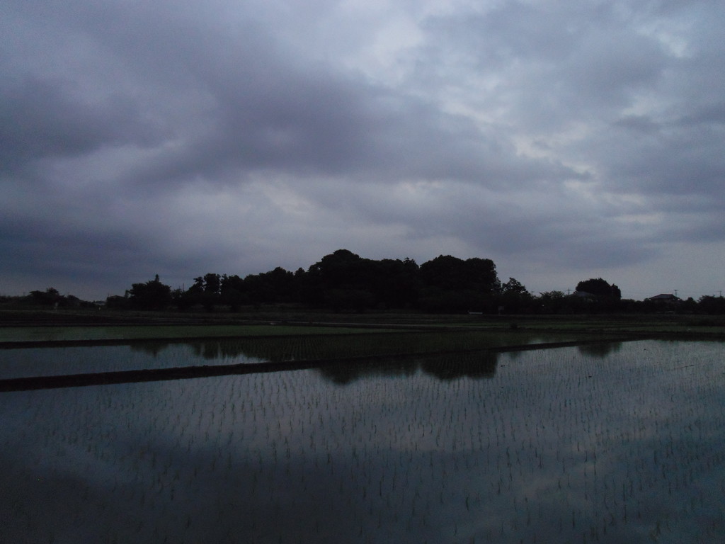 2017/05/27_水田の曇天
