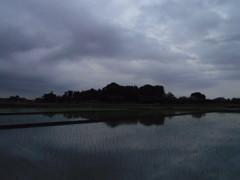 2017/05/27_水田の曇天