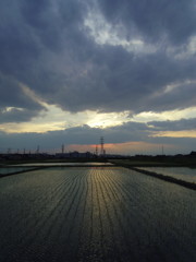 2017/06/10_水田の夕暮れ