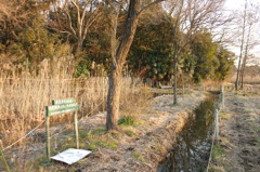 2015/02/11_ホタルの里