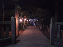 2017/12/31_大晦日の夜の小室氷川神社