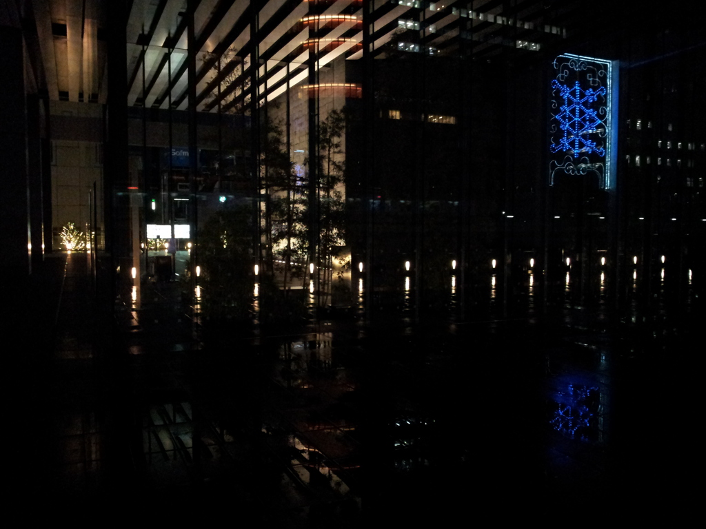 2014/11/26_夜、雨上がりの秋葉原