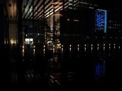 2014/11/26_夜、雨上がりの秋葉原