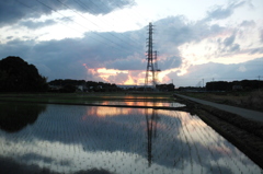 2015/06/06_水田の夕暮れ