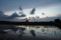 2015/06/28_水田の夕暮れ