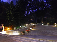 2017/03/12_夜の香港公園