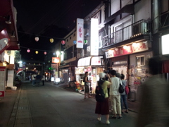 2016/07/16_夜の盛岡城跡公園（岩手公園）白龍の行列（没カット）