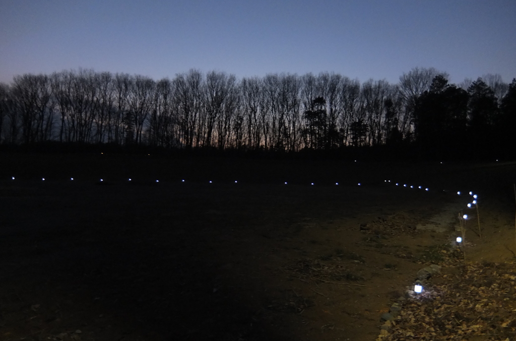 2014/01/18_夕暮れの木とソーラーライト