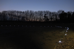 2014/01/18_夕暮れの木とソーラーライト