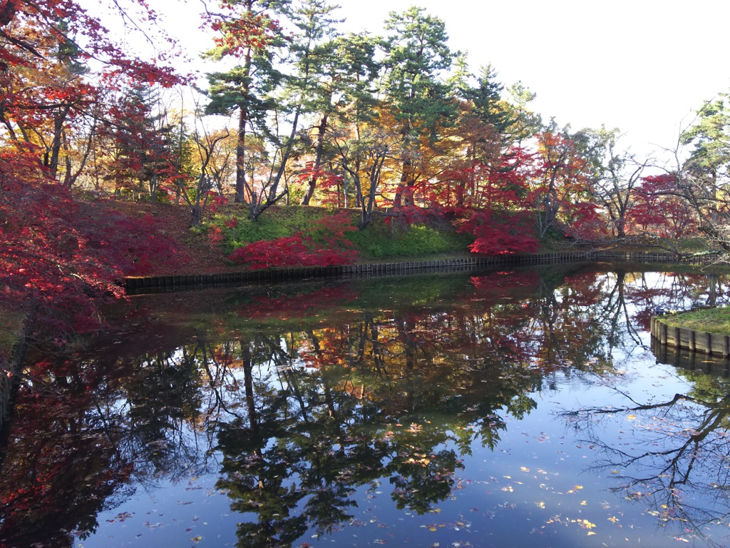 2016/11/14_弘前公園 中濠