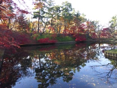 2016/11/14_弘前公園 中濠