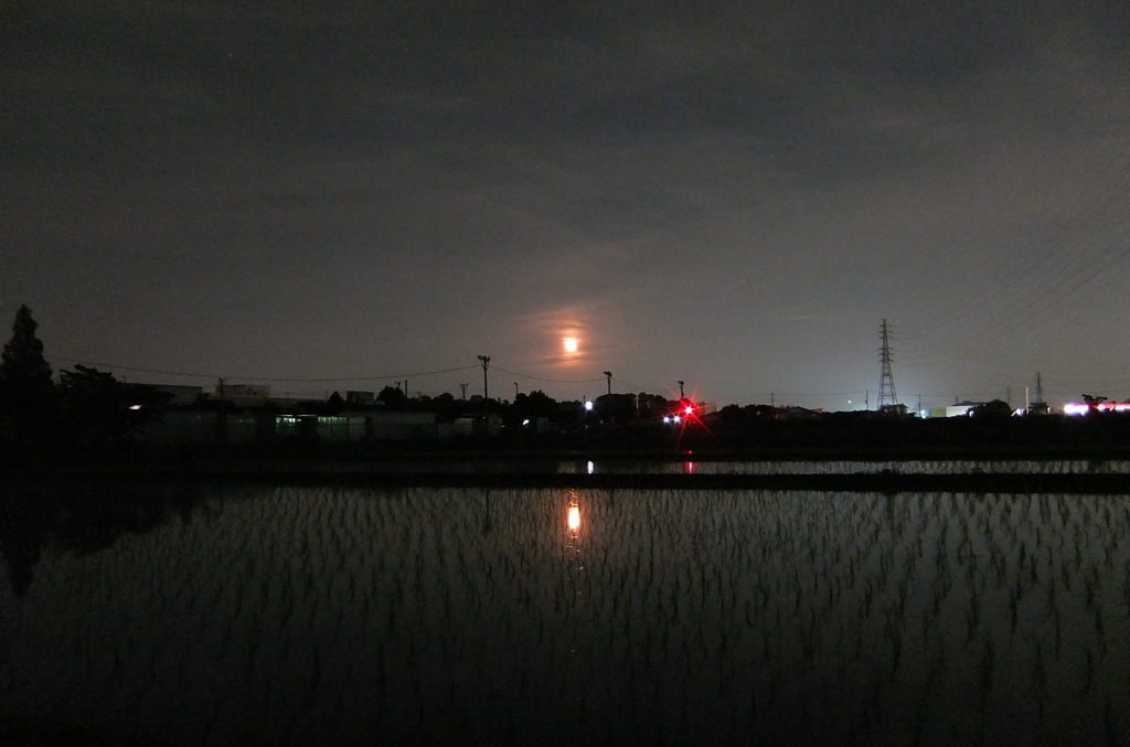2014/06/15_夜の田んぼと月