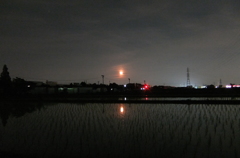 2014/06/15_夜の田んぼと月