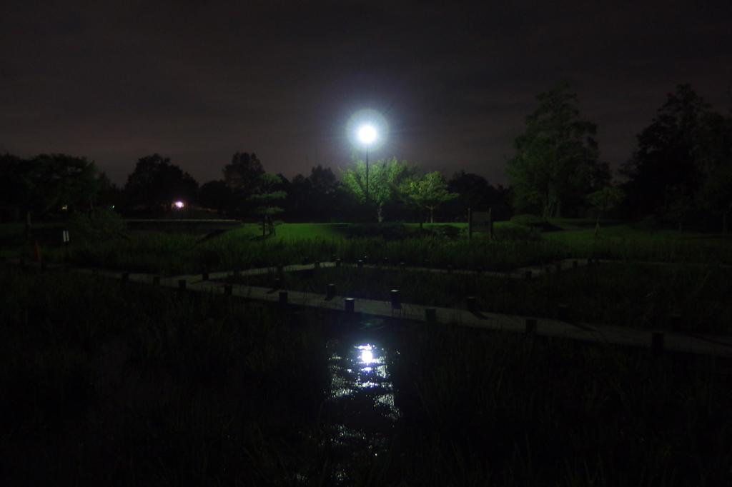 2015/10/04_夕暮れの平成の森公園