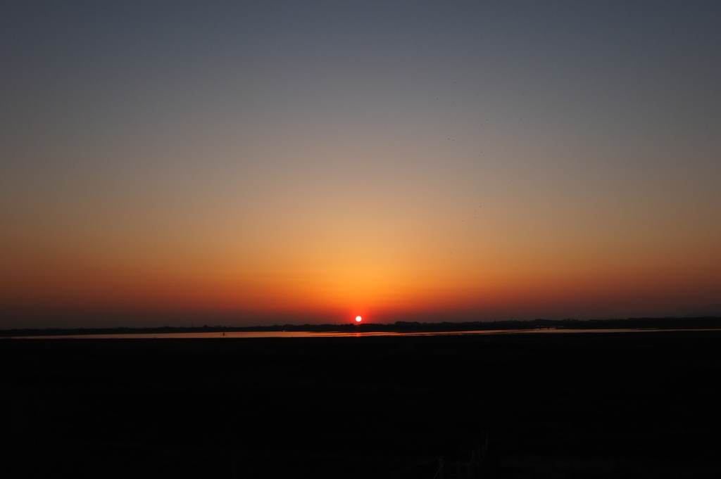 2015/03/28_渡良瀬遊水地の夕暮れ