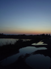 2017/04/15_水溜まりと溜め池の夕暮れ