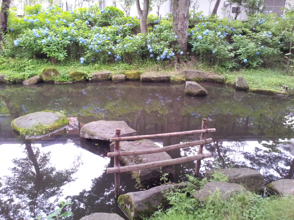 2016/07/16_盛岡城跡公園（岩手公園）鶴ケ池
