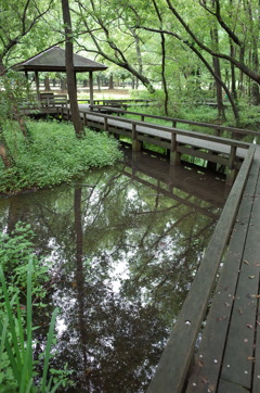 2015/07/05_伊奈町制施行記念公園