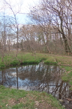 2016/03/26_北本自然観察公園