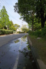 2015/04/29_伊奈町制施行記念公園の水たまり