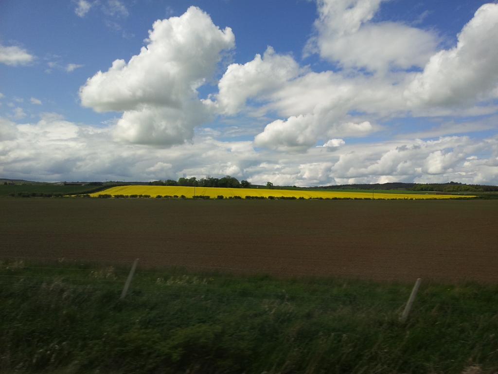 2016/05/22_エディンバラ〜ロンドン間車窓風景