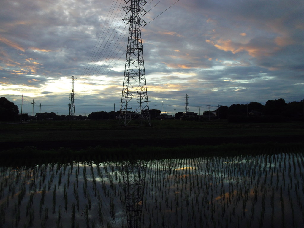 2017/07/01_水田の夕暮れ