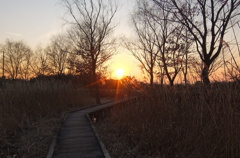 2015/02/11_ホタルの里