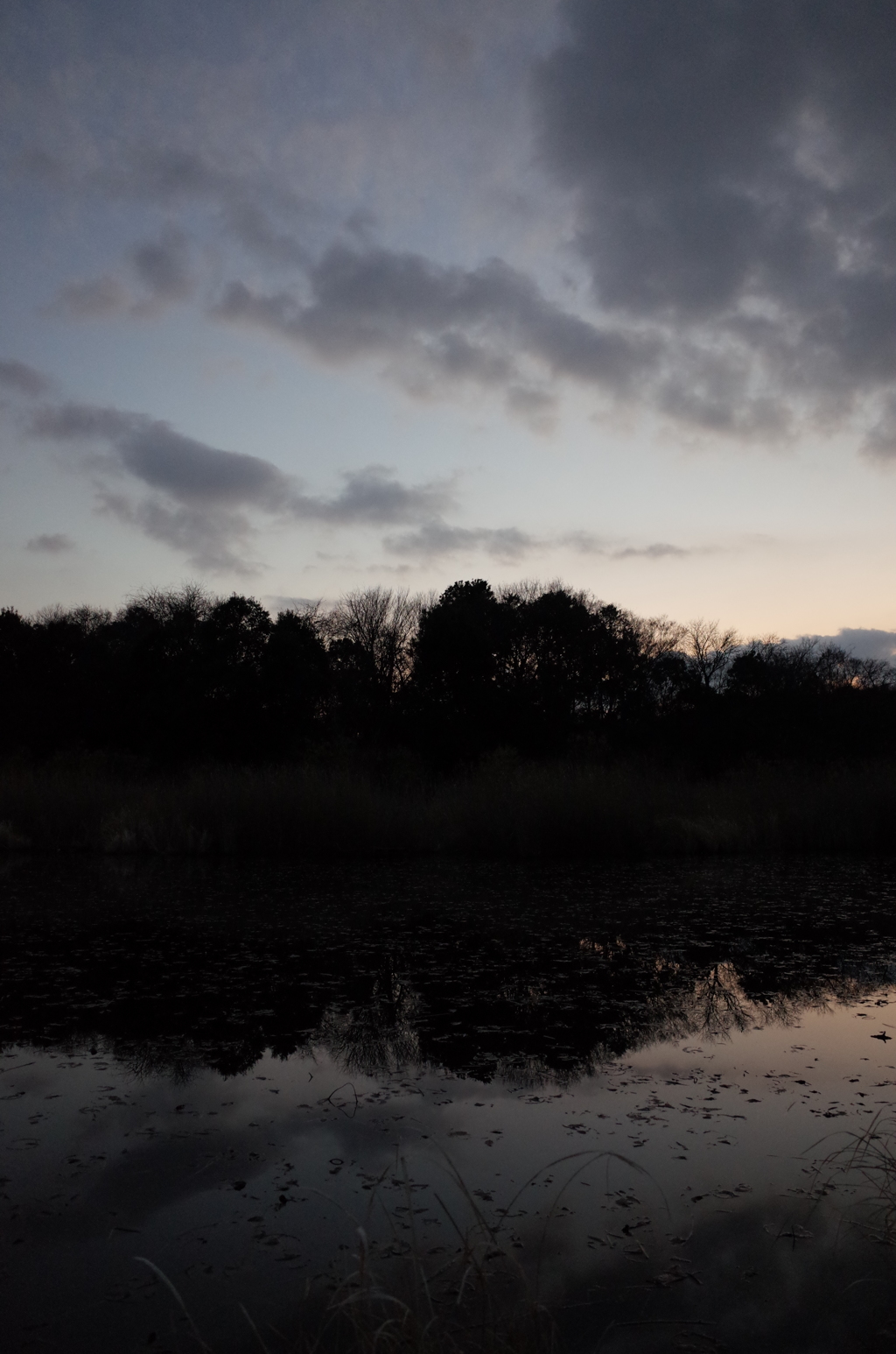 2015/12/31_赤坂沼の夕暮れ