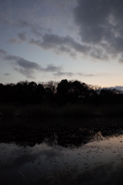 2015/12/31_赤坂沼の夕暮れ