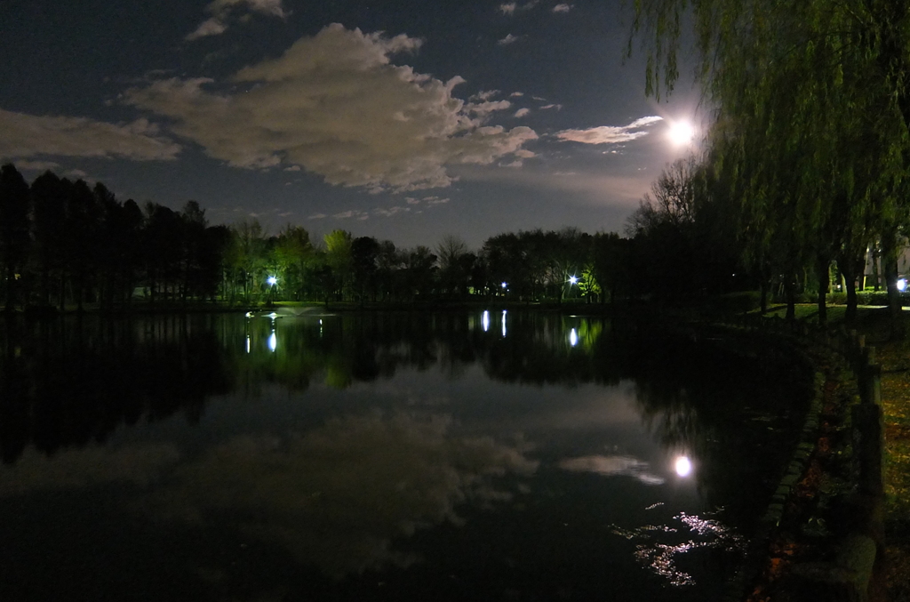 2014/12/06_月夜の北本総合公園