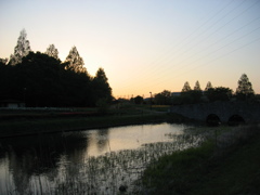 2017/04/23_花の丘農林公苑の夕暮れ