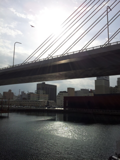 2016/11/13_青森ベイブリッジ