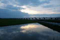 2016/07/23_水田の夕暮れ