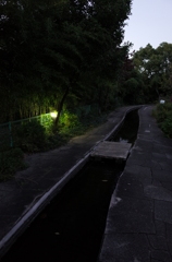 2014/11/15_夕暮れの鴨川みずべの里