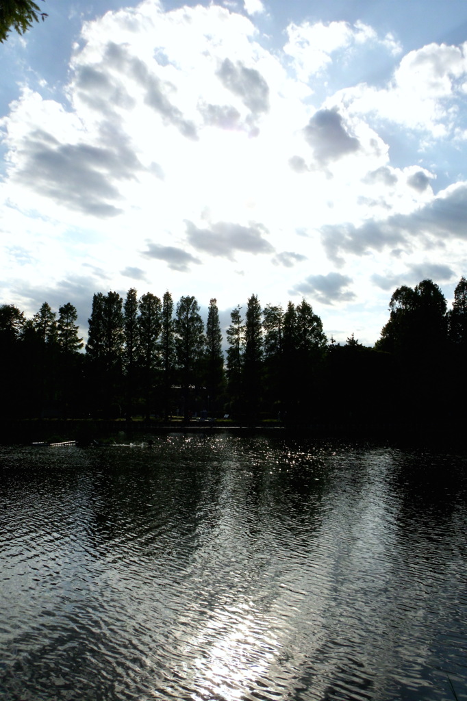 2014/05/18_別所沼公園