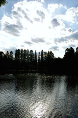 2014/05/18_別所沼公園