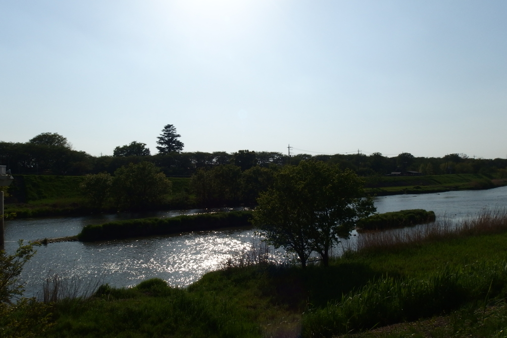 2015/04/26_光る中川