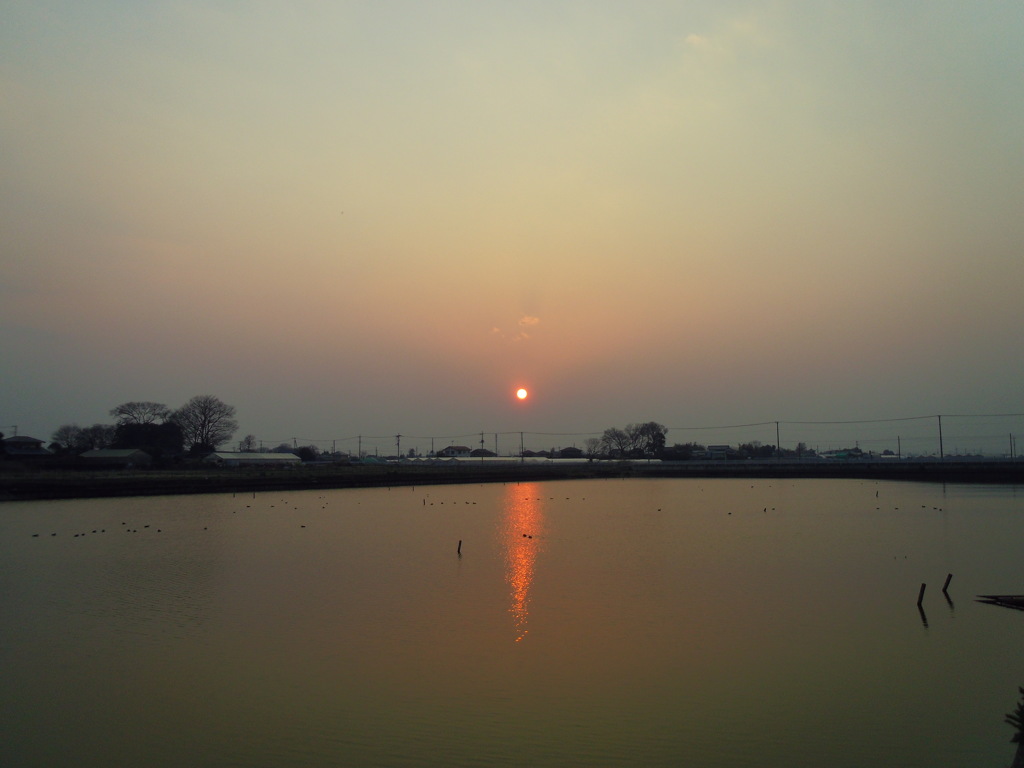 2017/03/19_溜め池の夕日