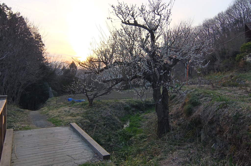 2014/03/29_山里の夕暮れ