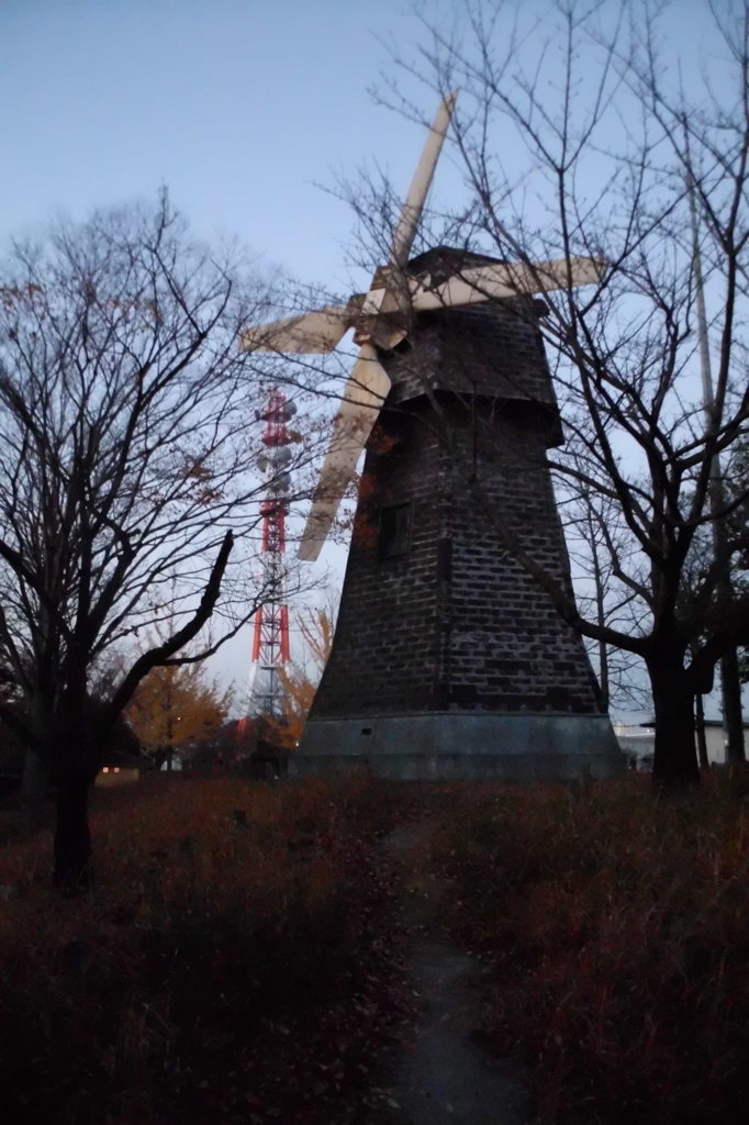 2014/11/22_見沼元圦公園