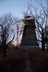 2014/11/22_見沼元圦公園