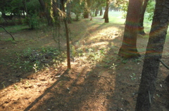 2015/05/24_夕暮れのゴルフ場