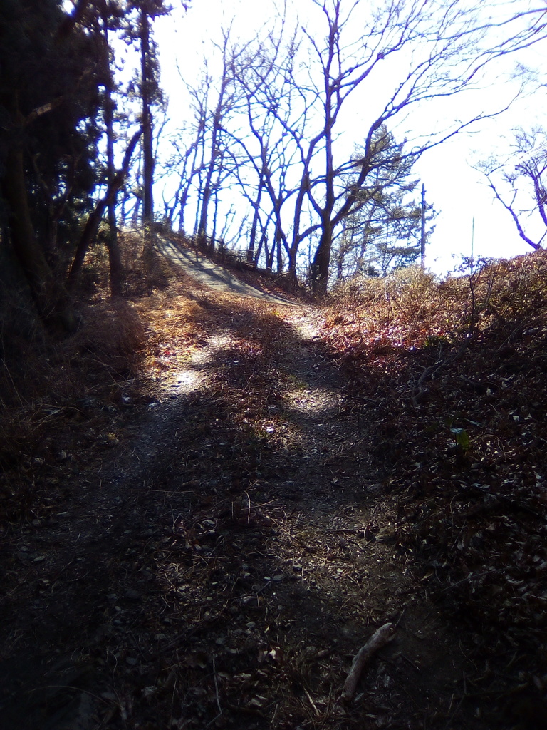 2017/12/30_登谷山への道