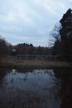 2016/03/26_北本自然観察公園