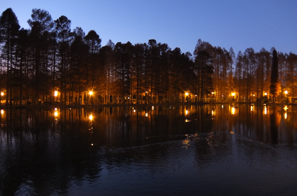 2014/12/14_夕暮れの別所沼公園