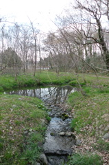 2016/03/26_北本自然観察公園