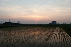 2015/07/12_水田の夕暮れ